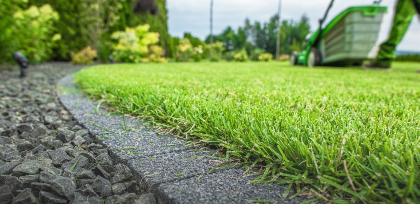Turf Removal & Replacement in San Mateo, CA